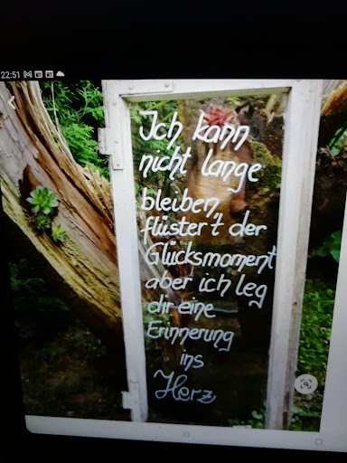 Photo from customer review