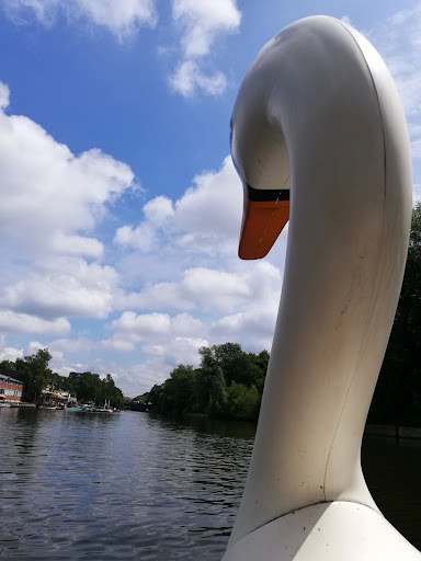 Photo from customer review